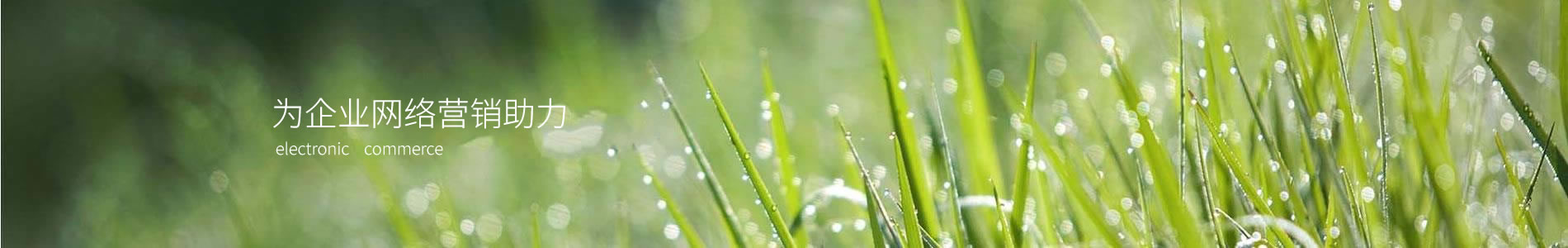 չ԰־۹޹˾